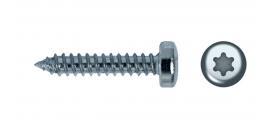 TORN  7049T TORX 4 8X38 [250 UDS] €/100